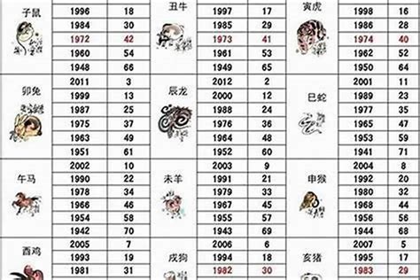 2005属什么|2005年属什么生肖 2005年属什么的生肖